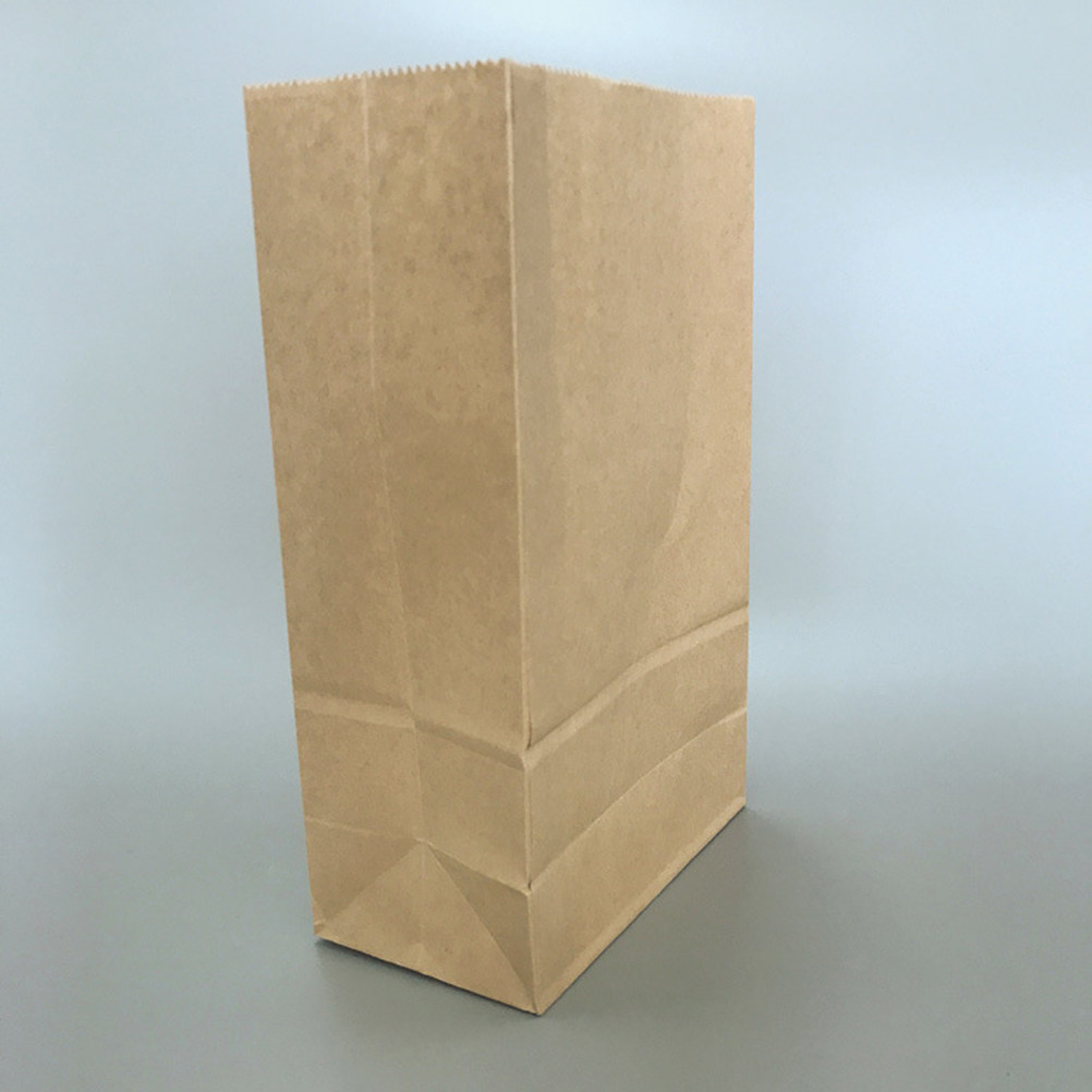 100pcs Kraft Paper Bag Small S - đánh giá và giá Snacks Food In Us